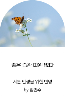 좋은 습관 따윈 없다 [서툰 인생을 위한 변명] by 김언수
