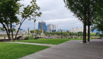 강원 춘천 공지천 의암공원 세콰이어 광장