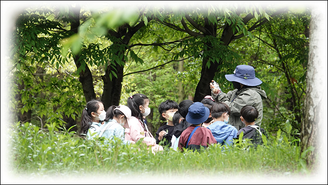 도심 속 생태교육 공간, 배다리마을숲(2022.4.29)