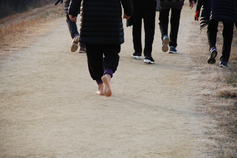 흙길을 홀로 걷는 맨발, 월광수변공원의 명물, 토끼 두 마리, 겨울, 유난히 많이 남아있는 감들 