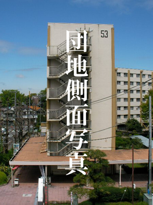 아파트의 옆면(측면)만 기록한 일본 사이트 ‘단지측면사진’ 일부