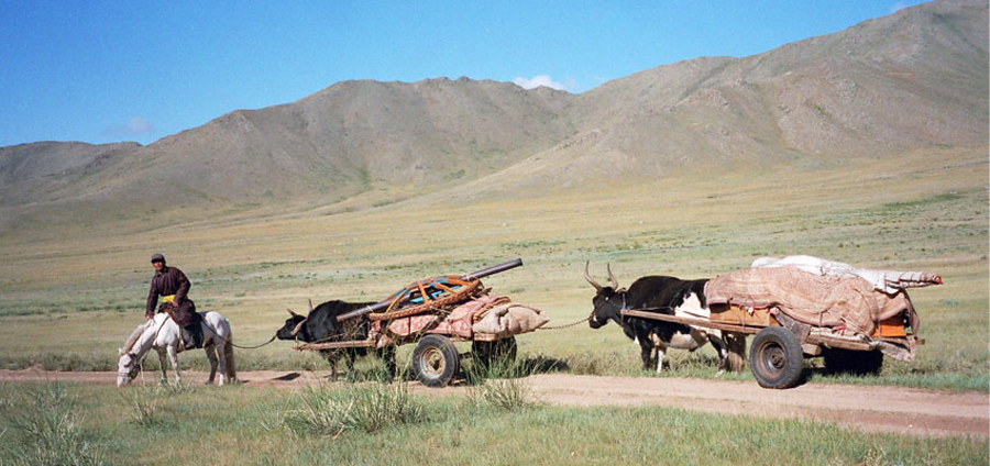 몽골의 초원 풍경
