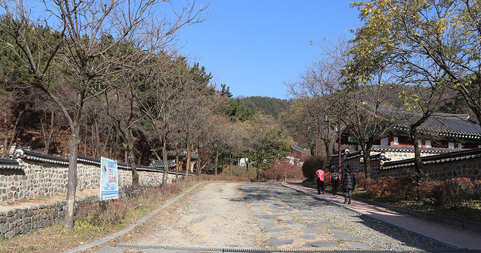 대전 시민들의 발걸음이 항상 함께하는 우암사적공원