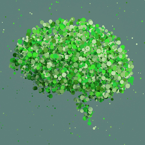 /upload/board/image/2024/12/PALAN_ISSU/2397223_eb326c55-e93f-49ce-af8c-1fe8da16a1b9.png