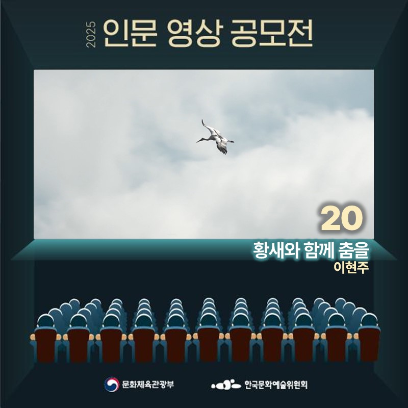 황새와 함께 춤을