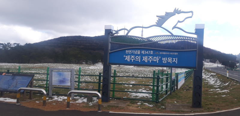한라산 기슭, 제주 마방목지 입구 