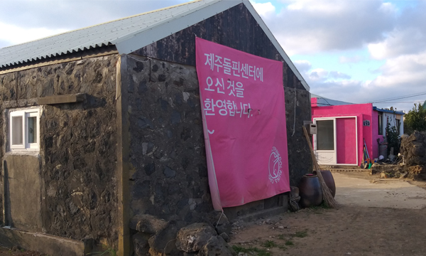 제주돌핀센터에 오신 것을 환영합니다