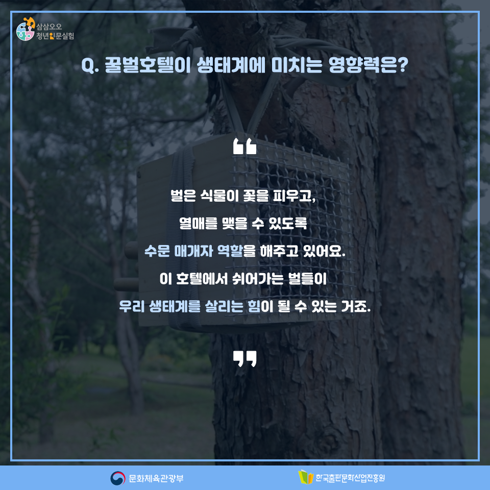 Q. 꿀벌호텔이 생태계에 미치는 영향력은? 벌은 식물이 꽃을 피우고, 열매를 맺을 수 있도록 수문 매개자 역할을 해주고 있어요. 이 호텔에서 쉬어가는 벌들이 우리 생태계를 살리는 힘이 될 수 있는 거죠.