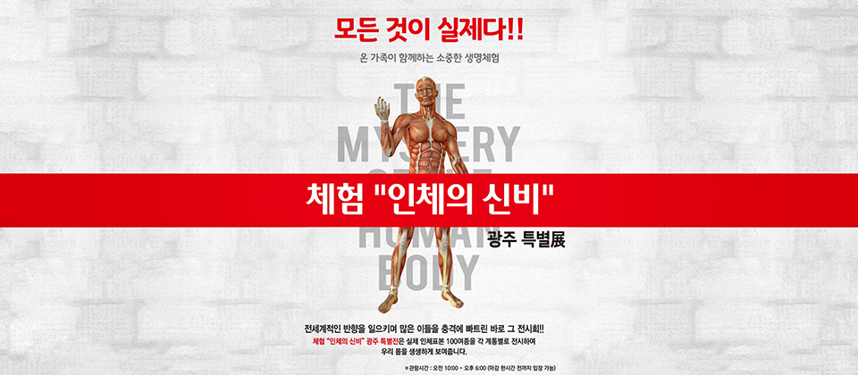 모든 것이 실제다!! 온 가족이 함께하는 소중한 생명체험, 체험 