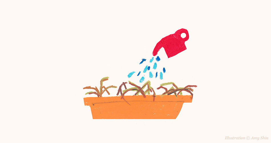 내뜻대로 되지않는 식물 그리고 기억 Illustration ⓒ Amy Shin