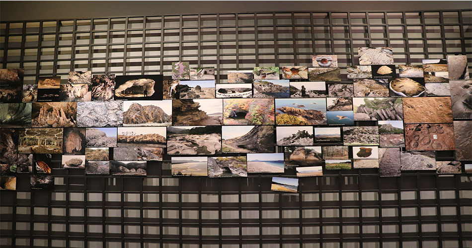 한반도 곳곳에서 발견된 화석들의 사진이 전시된 천연기념물센터