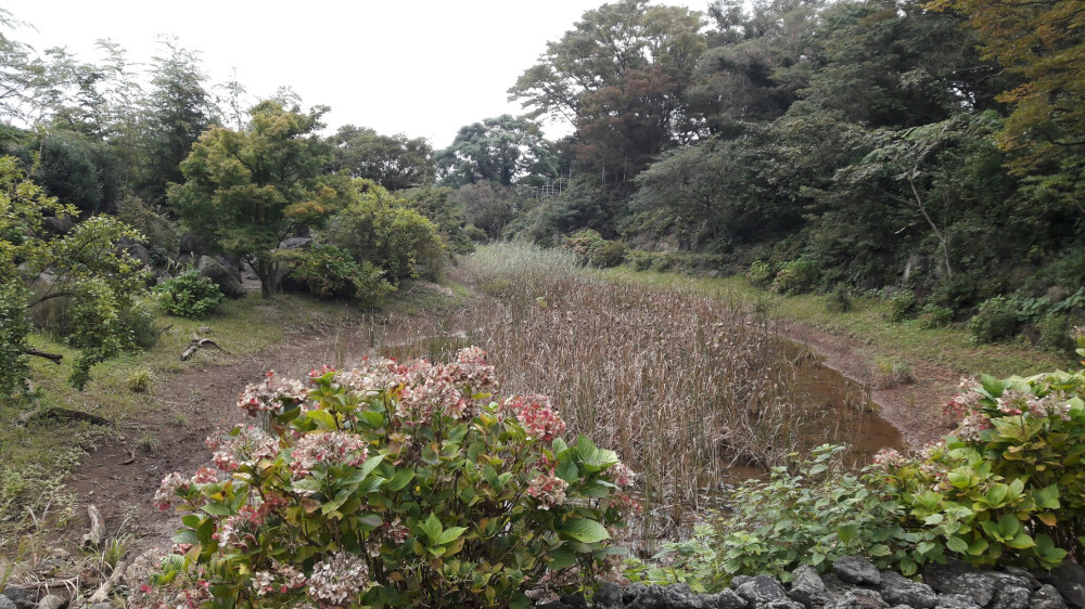 서천꽃밭의 풍경 
