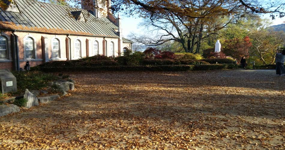 공세리 성당 마당에 쌓인 낙엽 Ⓒ 정지안
