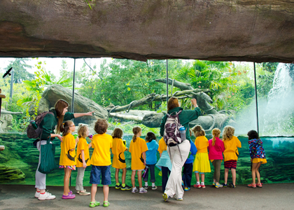 몰입형 동물원. 시애틀의 Woodland Park Zoo