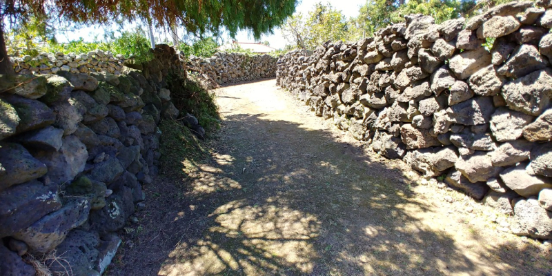 올렛담