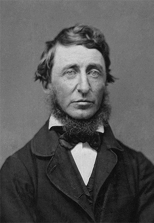 미국의 작가이자 사상가 헨리 데이비드 소로(1817~1862) (이미지 출처: Wikipedia)