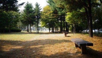 대전 서구 은평근린공원