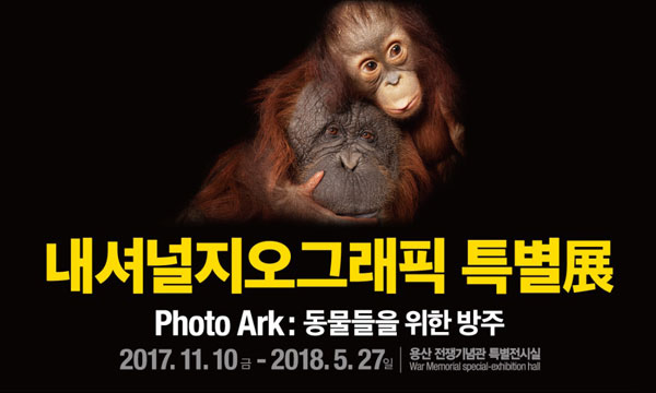 내셔널지오그래픽 특별展