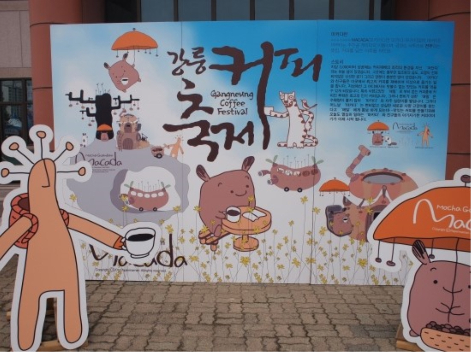 강릉의 다양한 커피 콘텐츠 : 강릉커피축제