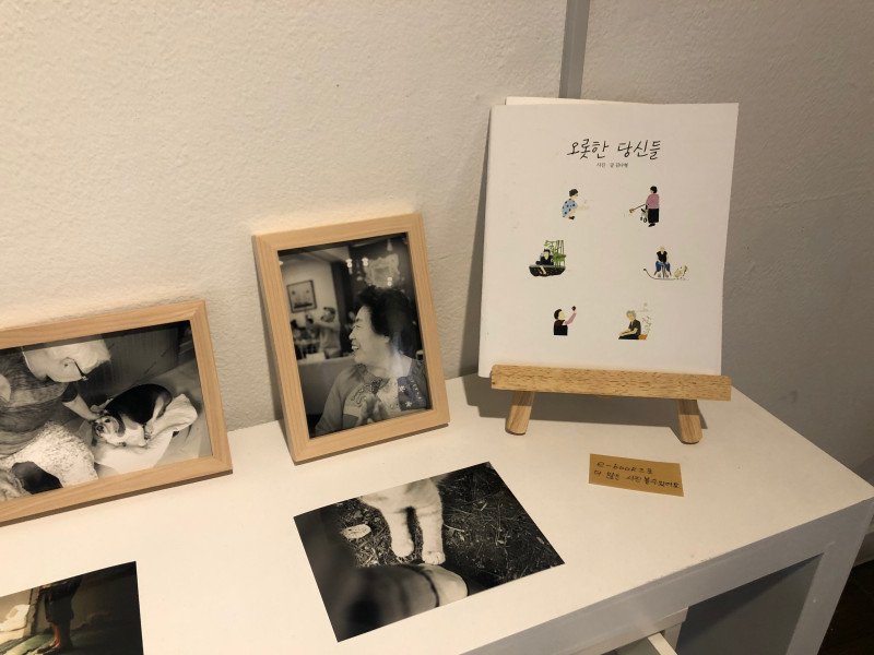  ‘오롯한 당신들' 김다형 - 오랜 시간 주변의 작은 생명들을 돌보며 더불어 살아왔던 할머니, 할아버지의 모습을 담았다